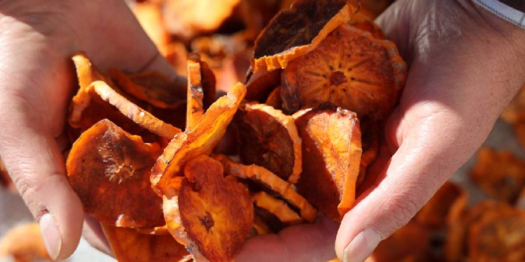 Yaşı 60 TL, kurusu 650 TL! Mahallede kurulan tesiste kurutuldu: İlk ihracat Almanya’ya yapıldı 5